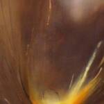 Aerie  SOLD
12'' x 24''

