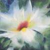 White Tree Peony  SOLD
13'' x 13'' framed
