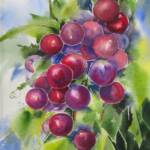 "Red Grapes"
       7 x 7"