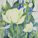 "White Tulip"
Watercolour on canvas
24 x 24"