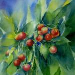 Autumn Fruit  SOLD
13'' x 15"
Framed        
