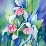 Showy Ladyslippers
15''  x  19" 
Matted                                                                             