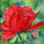 Asian Poppy  SOLD
14'' x 15"  

         