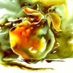 Yupo Pear  SOLD
12'' x 12" 
Framed

          