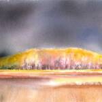 Approaching Storm SOLD
5''  x  9 "
