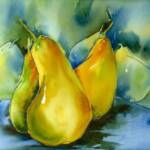 Pear Medley  V
16'' x 20"
watercolour & ink 