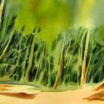 A Walk in the Woods  SOLD
14'' x 27"    
Framed      