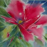 Tree Peony
11'' x 11"