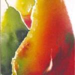 Palmello Pears  SOLD

w/c on canvas