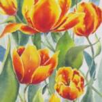 Variegated Tulips
12'' x 24"