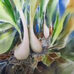 "Wild Onions"
      7 x 7"